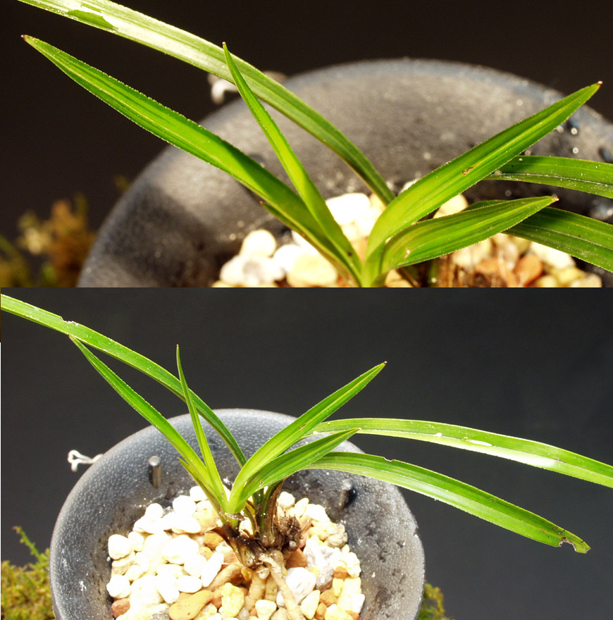 ������ ū������ �� �� �ֽ��ϴ�.