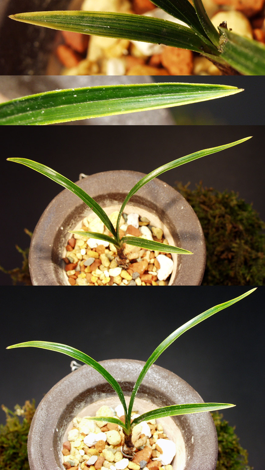 ������ ū������ �� �� �ֽ��ϴ�.