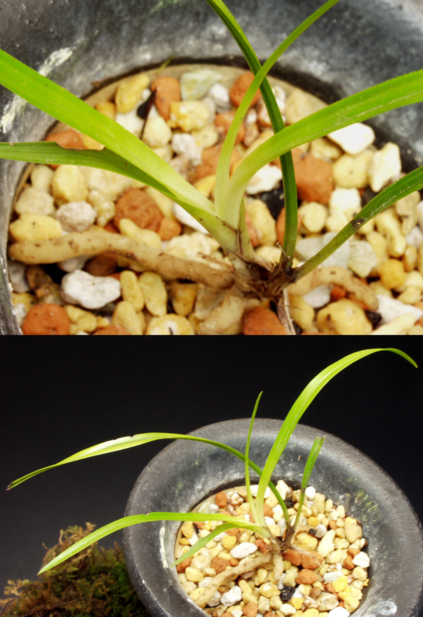 ������ ū������ �� �� �ֽ��ϴ�.