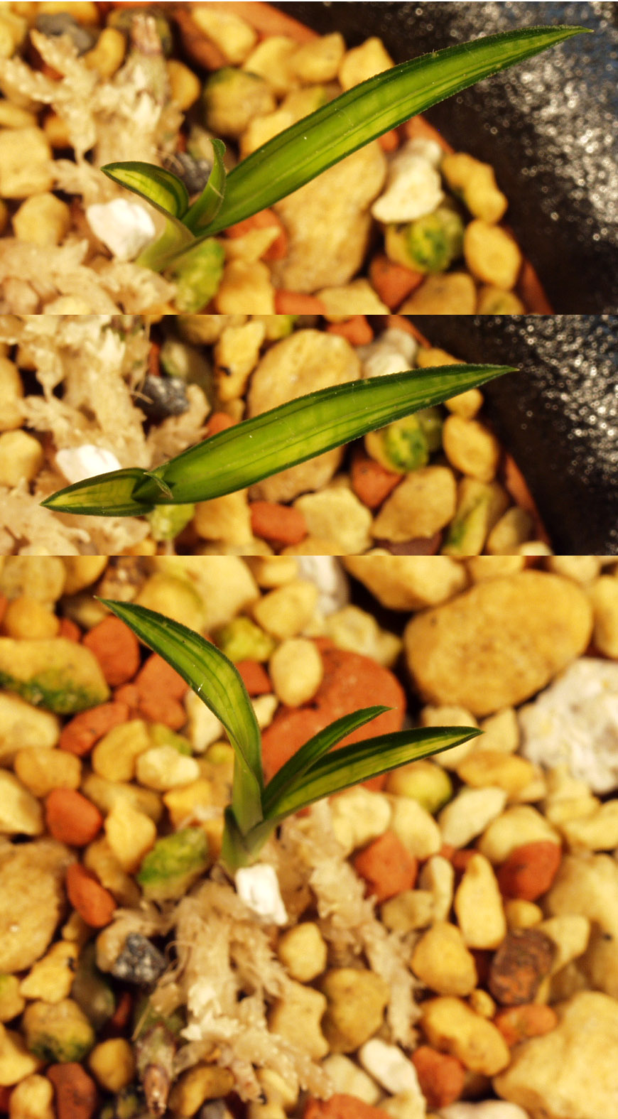 ������ ū������ �� �� �ֽ��ϴ�.