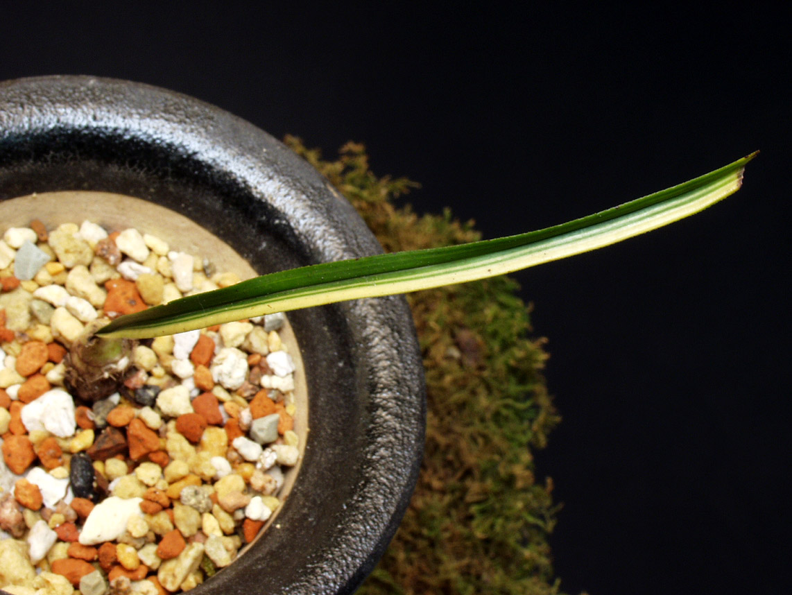 ������ ū������ �� �� �ֽ��ϴ�.