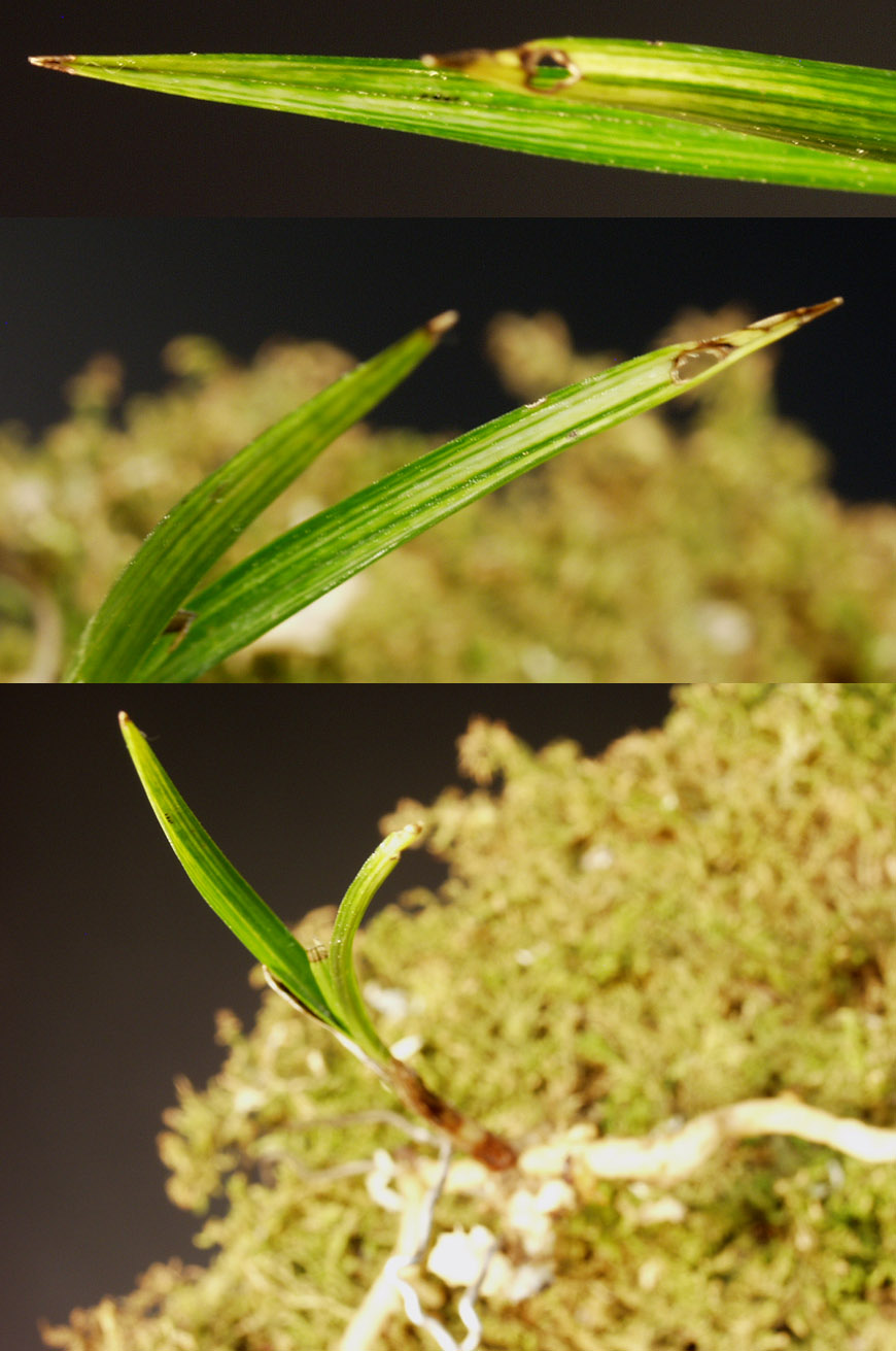 ������ ū������ �� �� �ֽ��ϴ�.