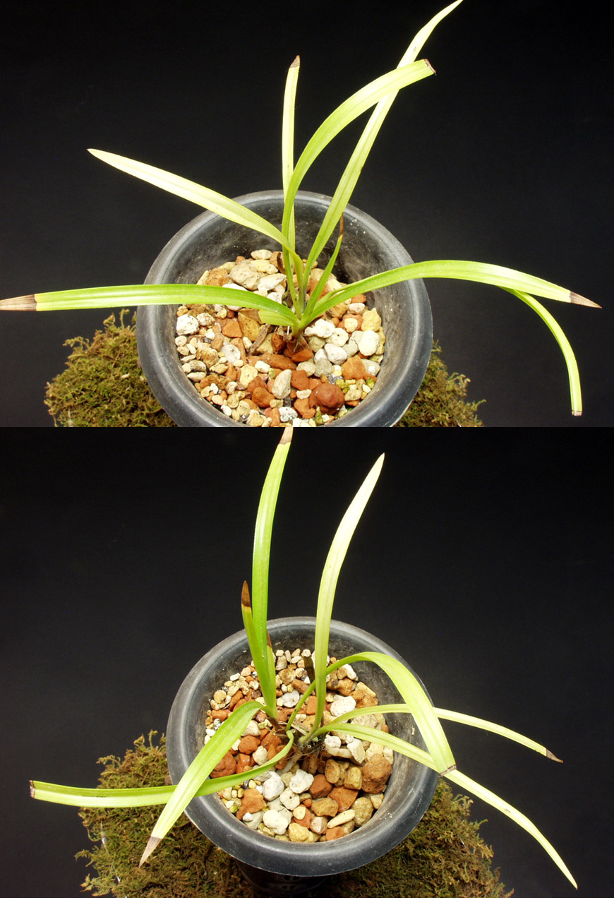 ������ ū������ �� �� �ֽ��ϴ�.