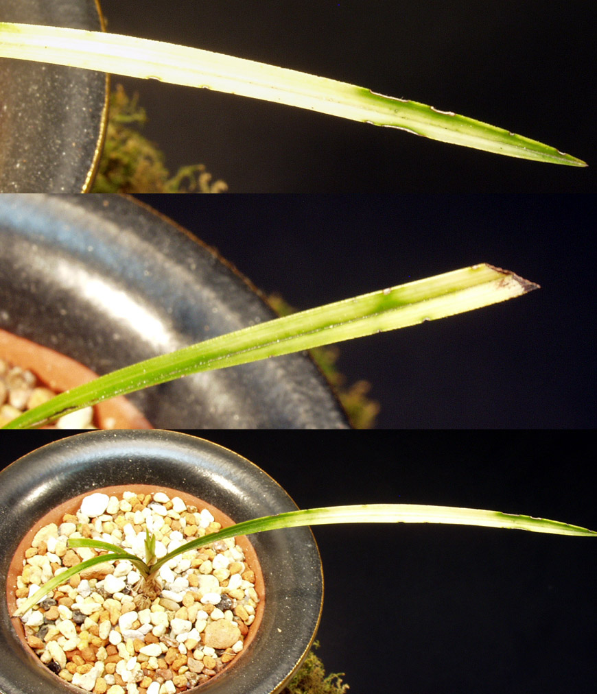 ������ ū������ �� �� �ֽ��ϴ�.