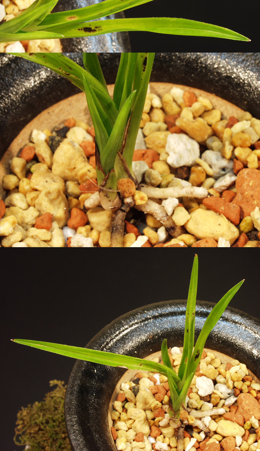 ������ ū������ �� �� �ֽ��ϴ�.