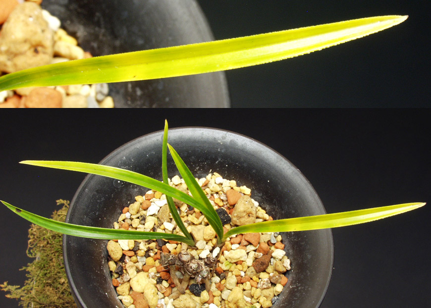 ������ ū������ �� �� �ֽ��ϴ�.