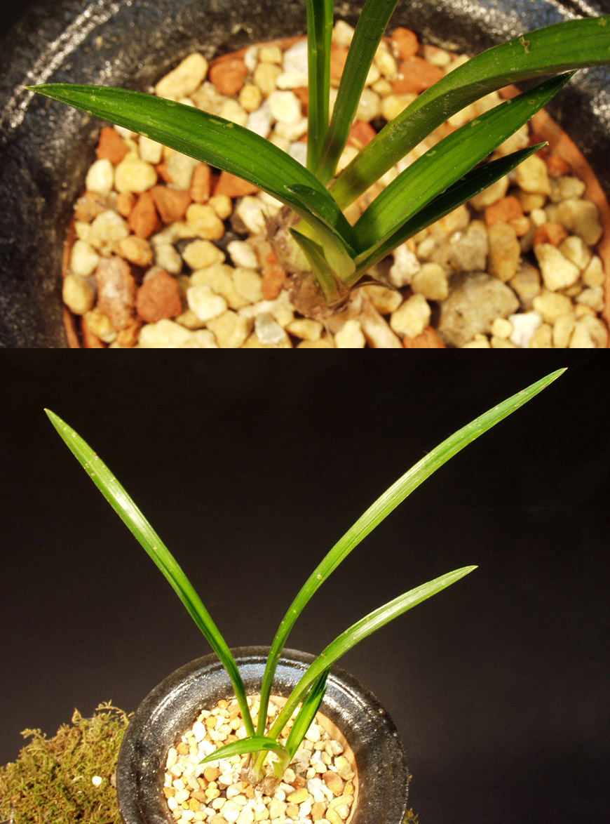 ������ ū������ �� �� �ֽ��ϴ�.