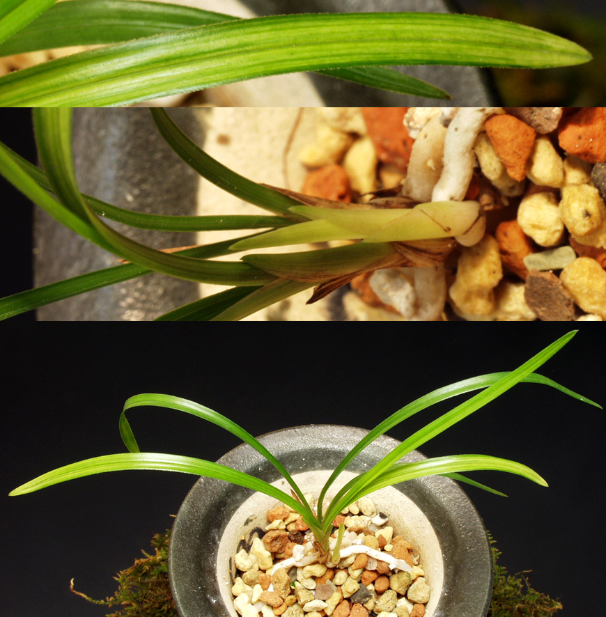 ������ ū������ �� �� �ֽ��ϴ�.