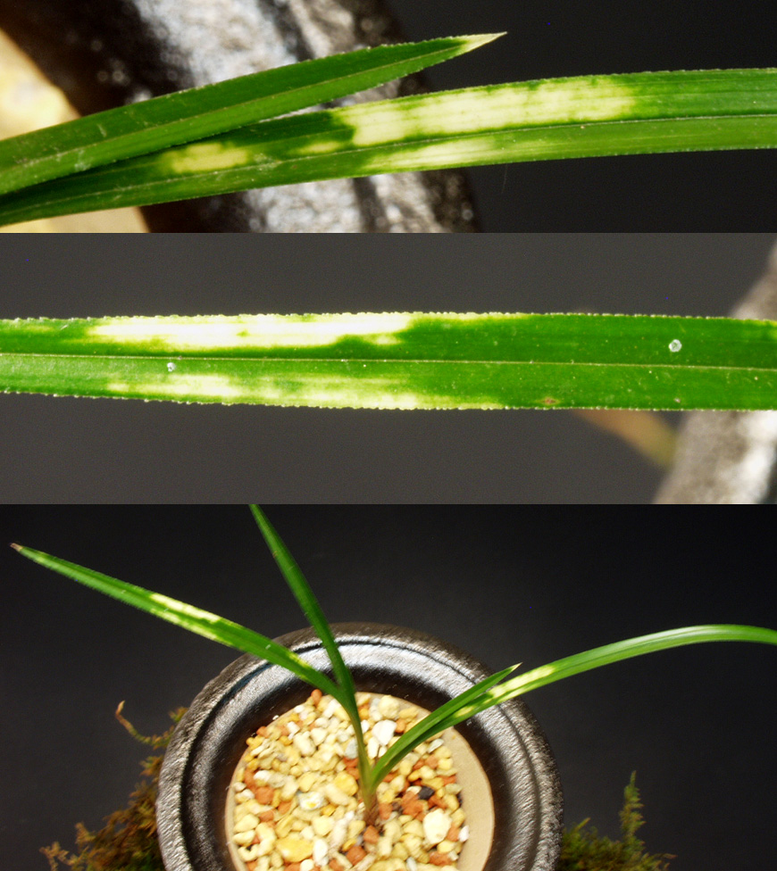 ������ ū������ �� �� �ֽ��ϴ�.