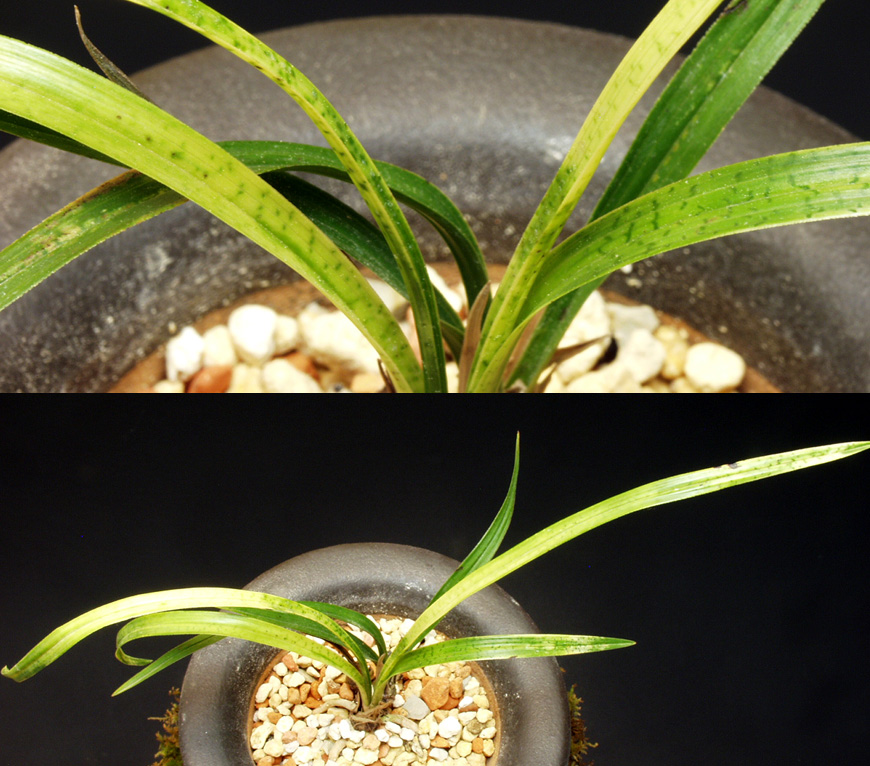 ������ ū������ �� �� �ֽ��ϴ�.