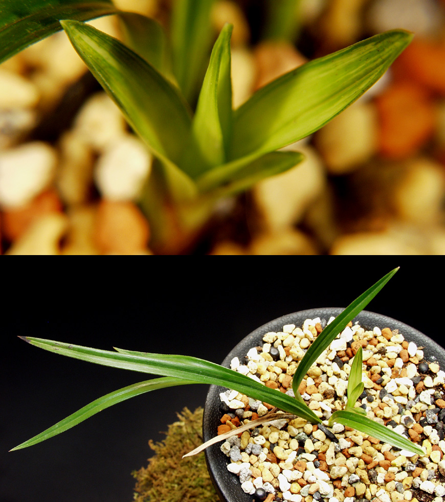 ������ ū������ �� �� �ֽ��ϴ�.