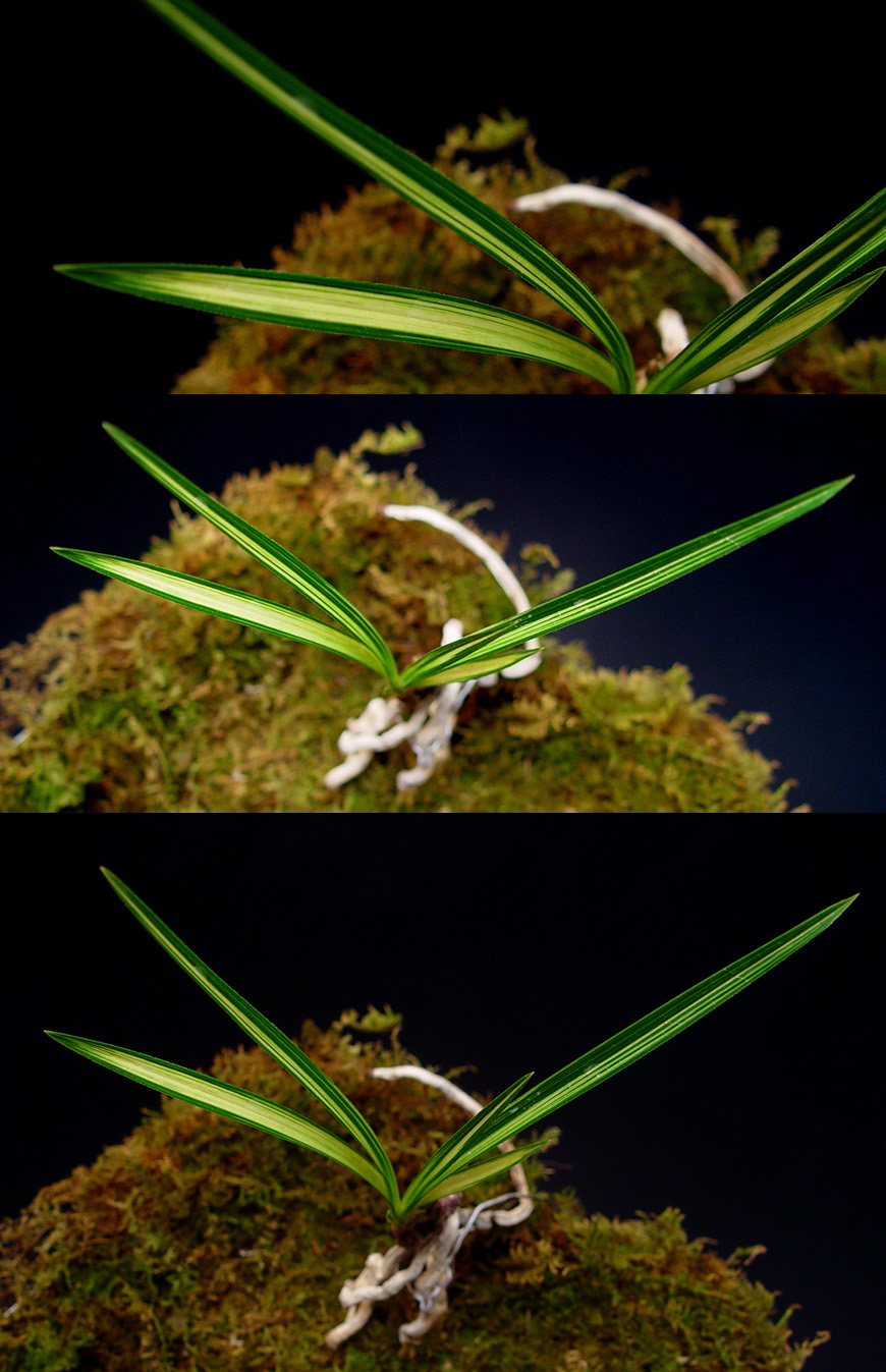 ������ ū������ �� �� �ֽ��ϴ�.