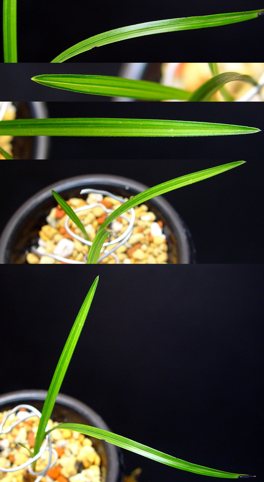 ������ ū������ �� �� �ֽ��ϴ�.