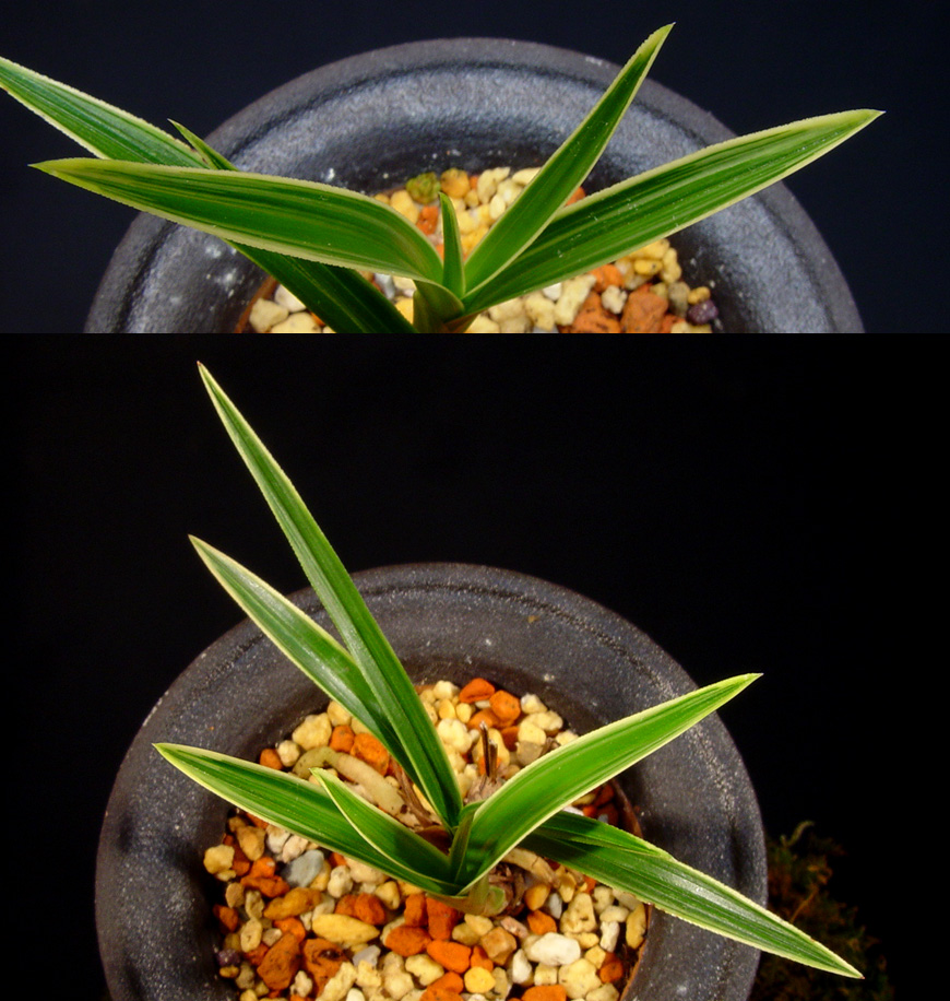 ������ ū������ �� �� �ֽ��ϴ�.