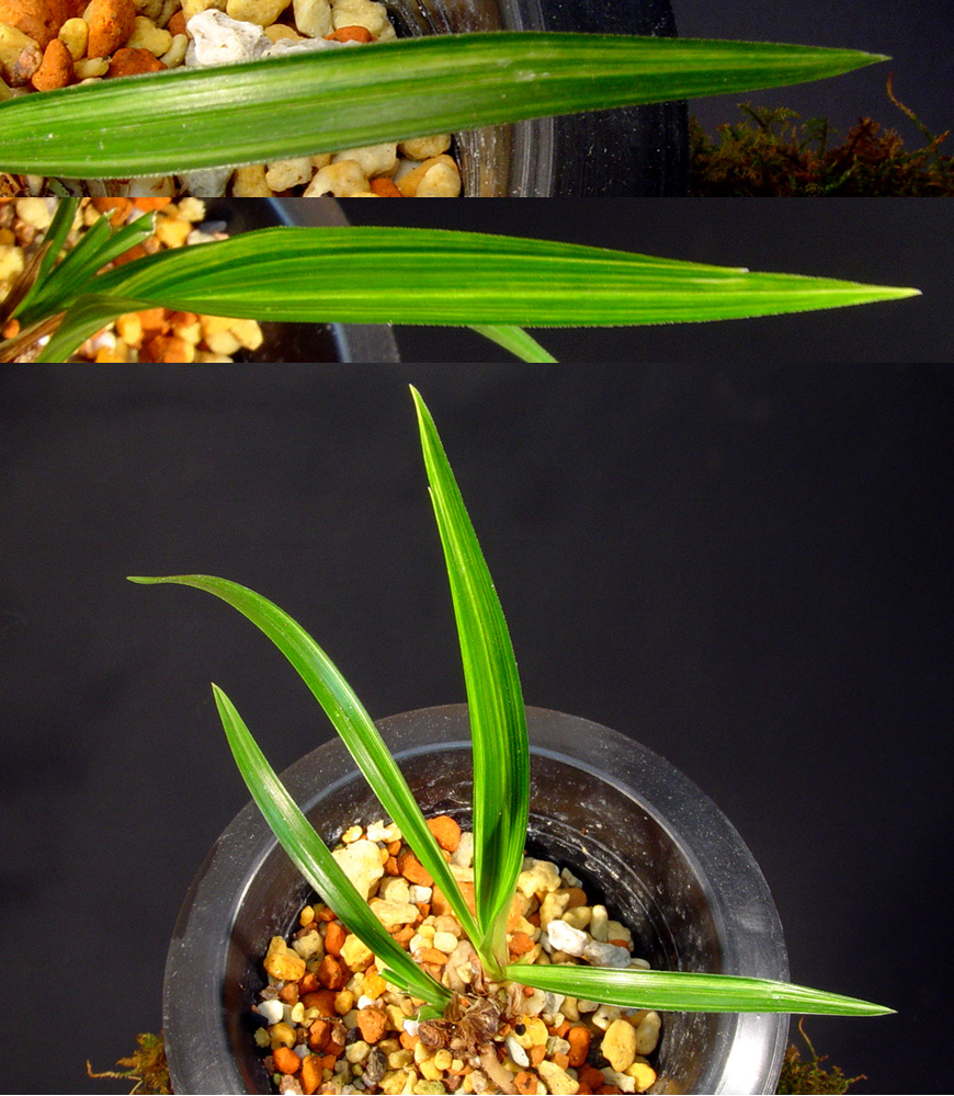 ������ ū������ �� �� �ֽ��ϴ�.