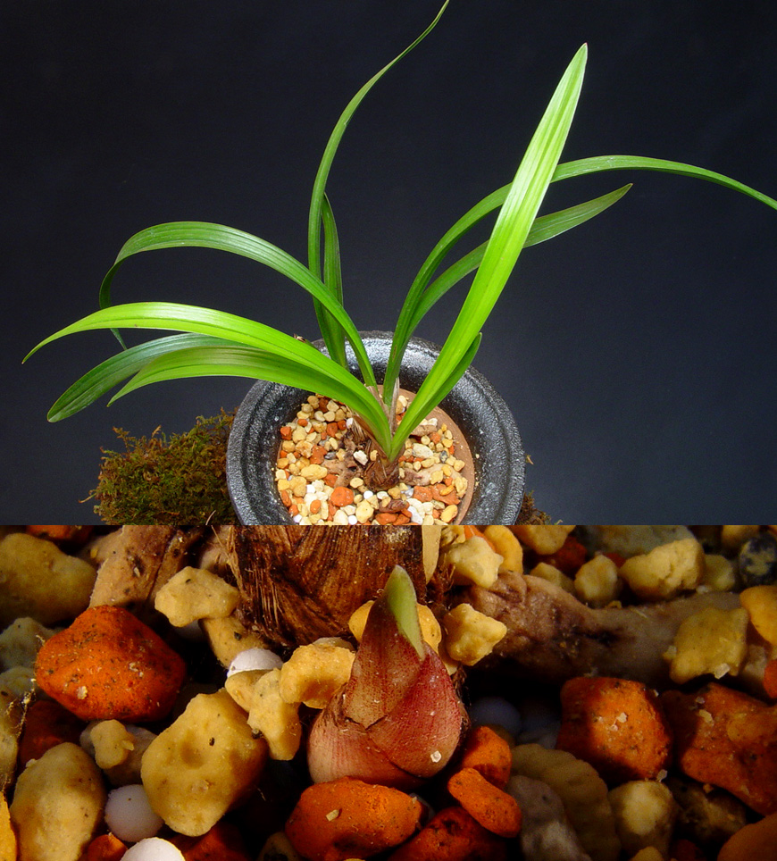 ������ ū������ �� �� �ֽ��ϴ�.