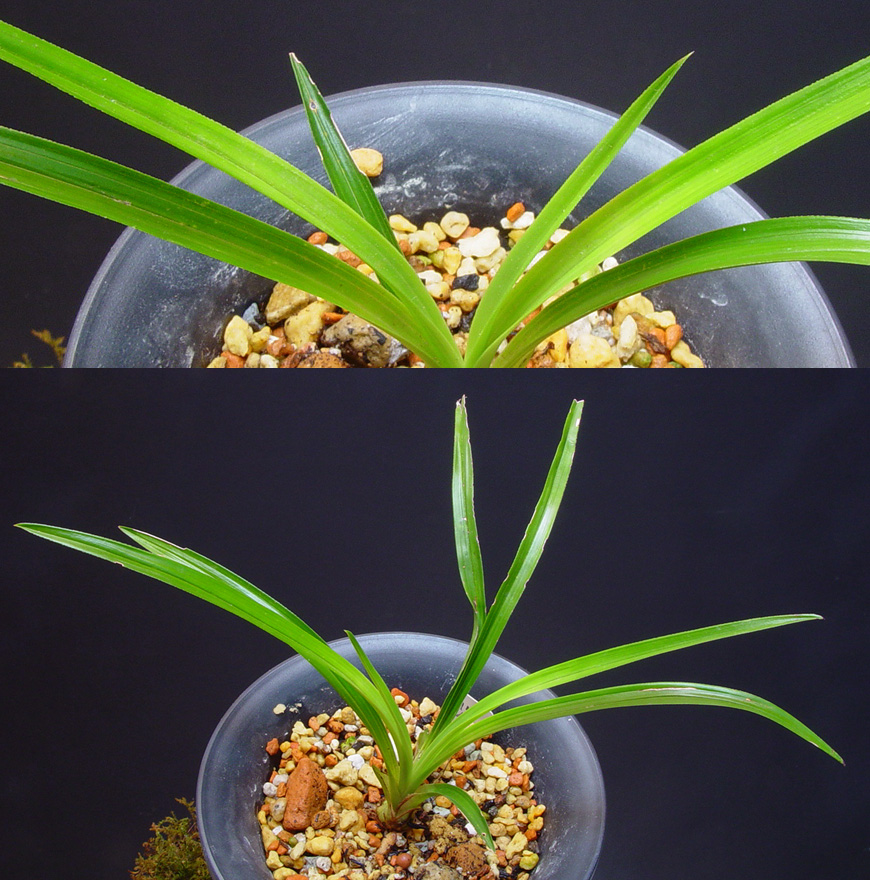 ������ ū������ �� �� �ֽ��ϴ�.