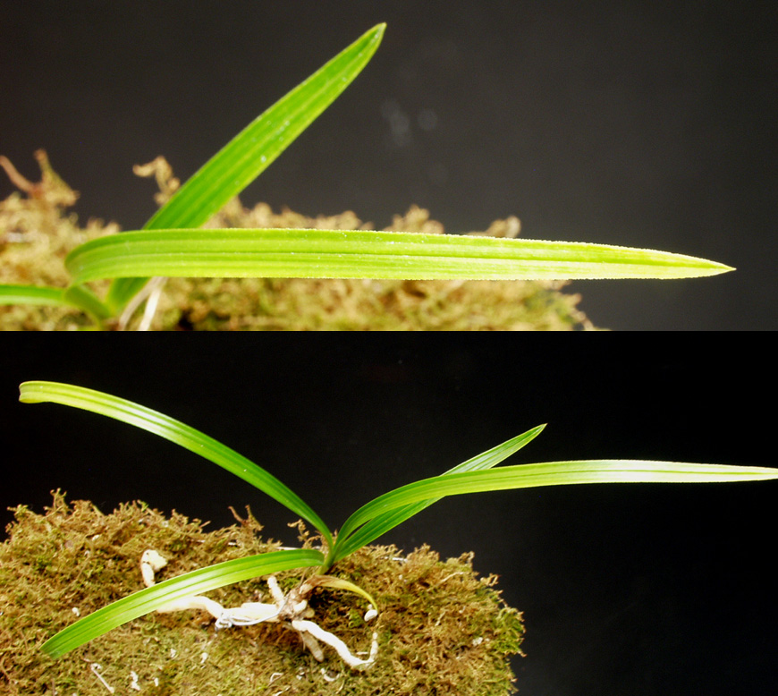 ������ ū������ �� �� �ֽ��ϴ�.