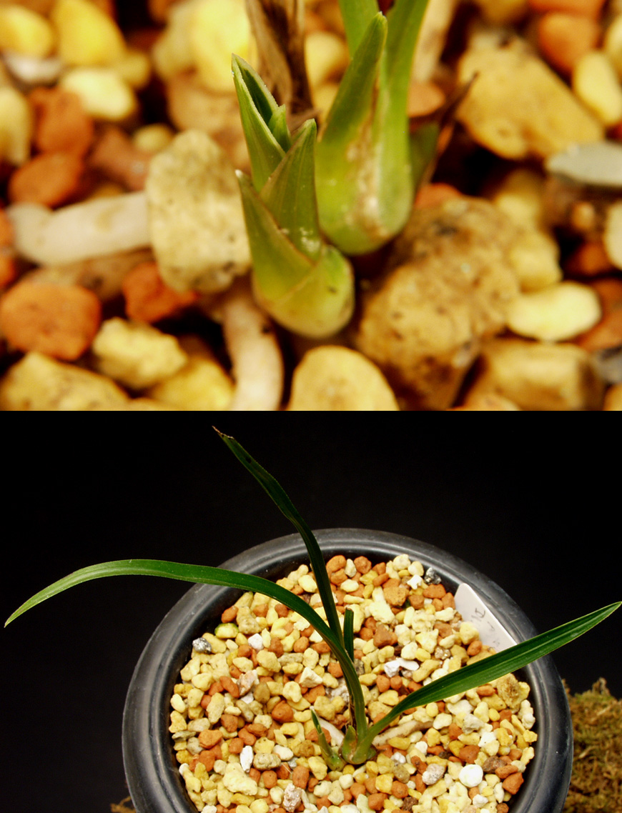 ������ ū������ �� �� �ֽ��ϴ�.