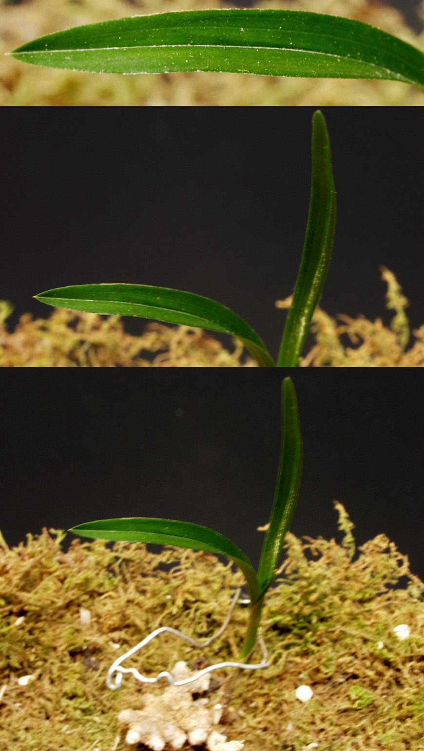 ������ ū������ �� �� �ֽ��ϴ�.