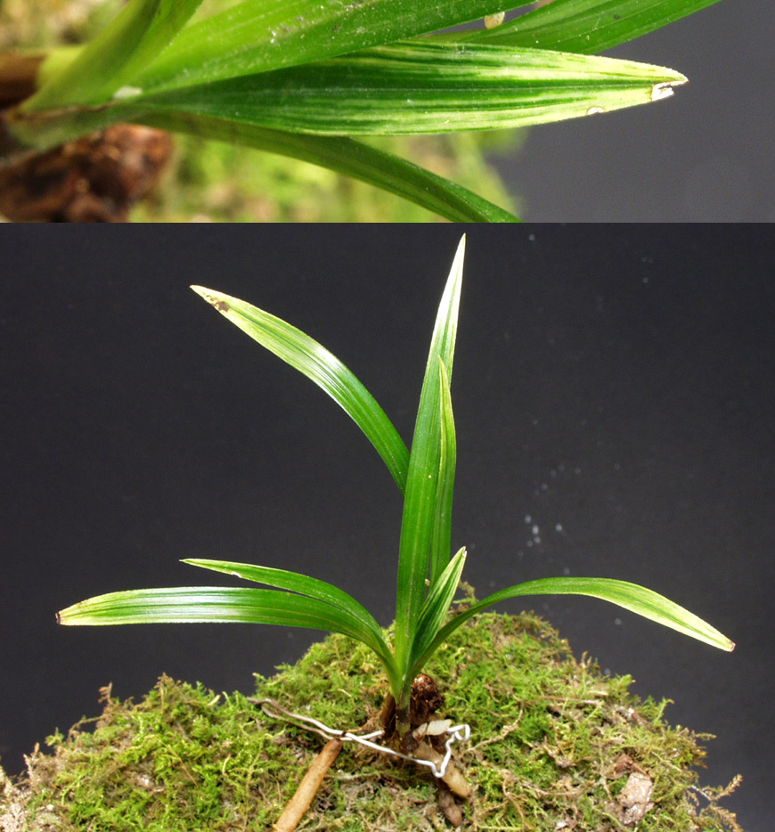 ������ ū������ �� �� �ֽ��ϴ�.