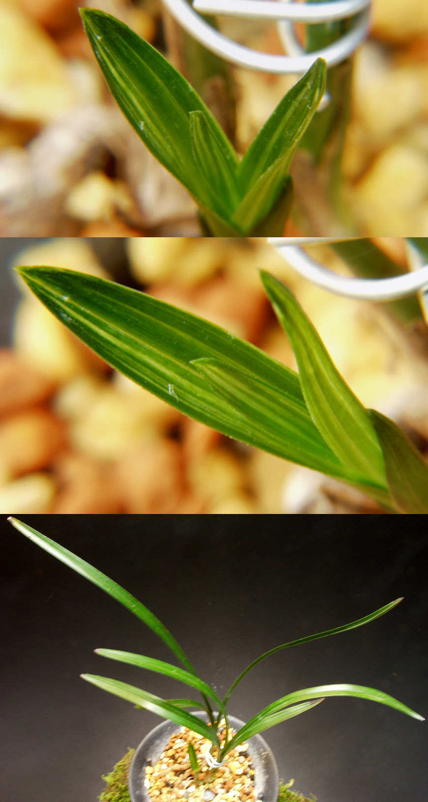 ������ ū������ �� �� �ֽ��ϴ�.