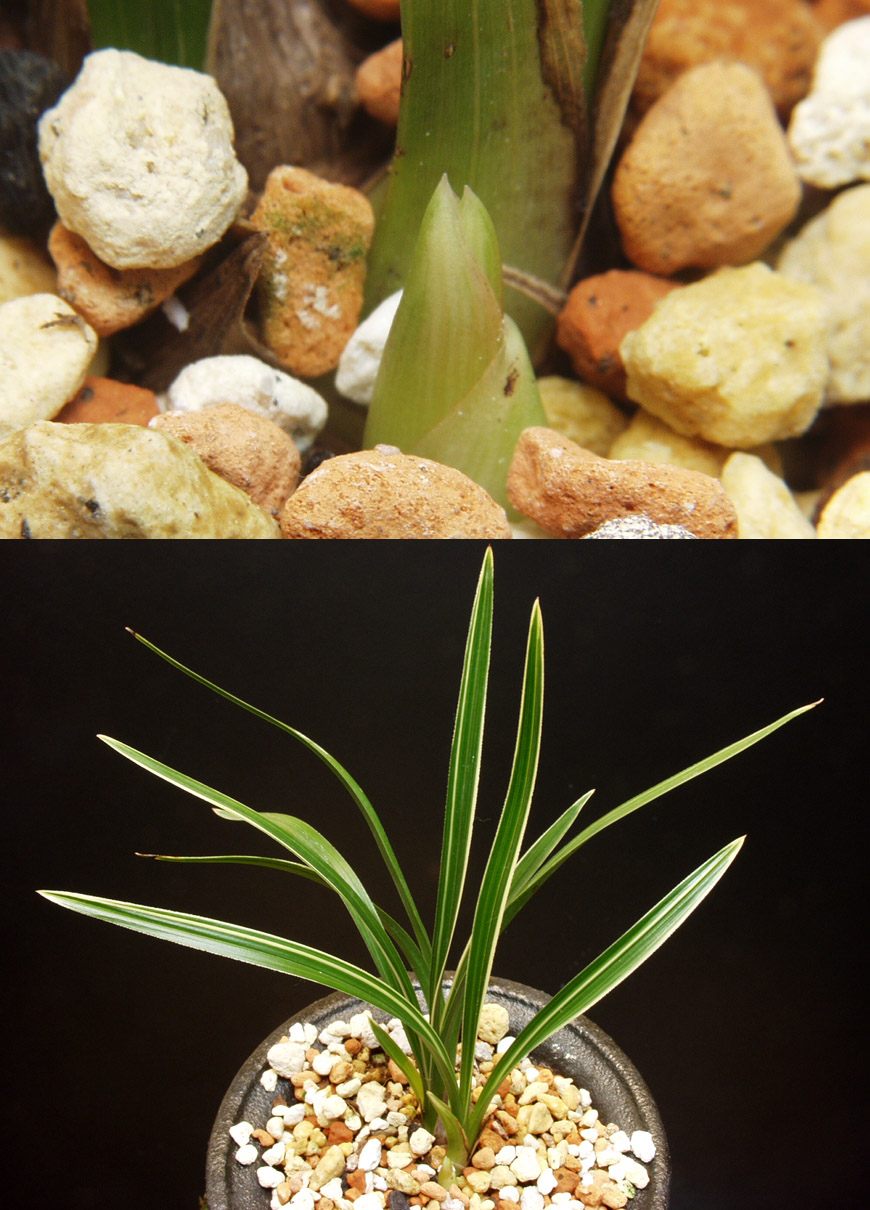 ������ ū������ �� �� �ֽ��ϴ�.