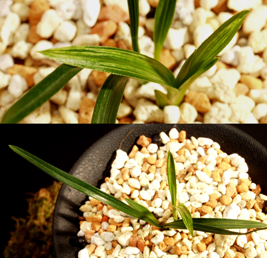 ������ ū������ �� �� �ֽ��ϴ�.