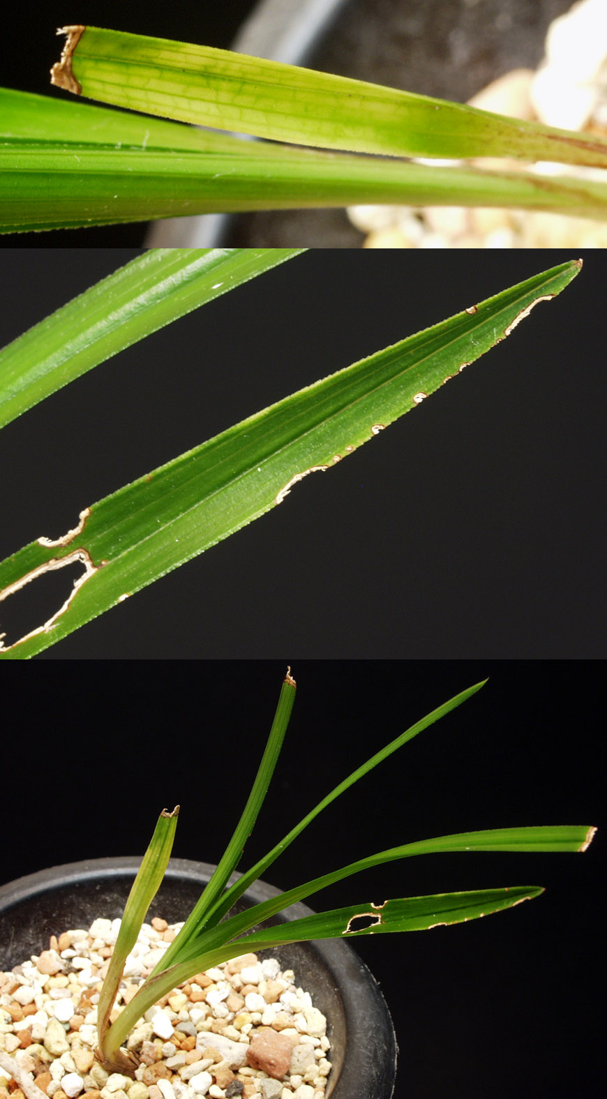 ������ ū������ �� �� �ֽ��ϴ�.