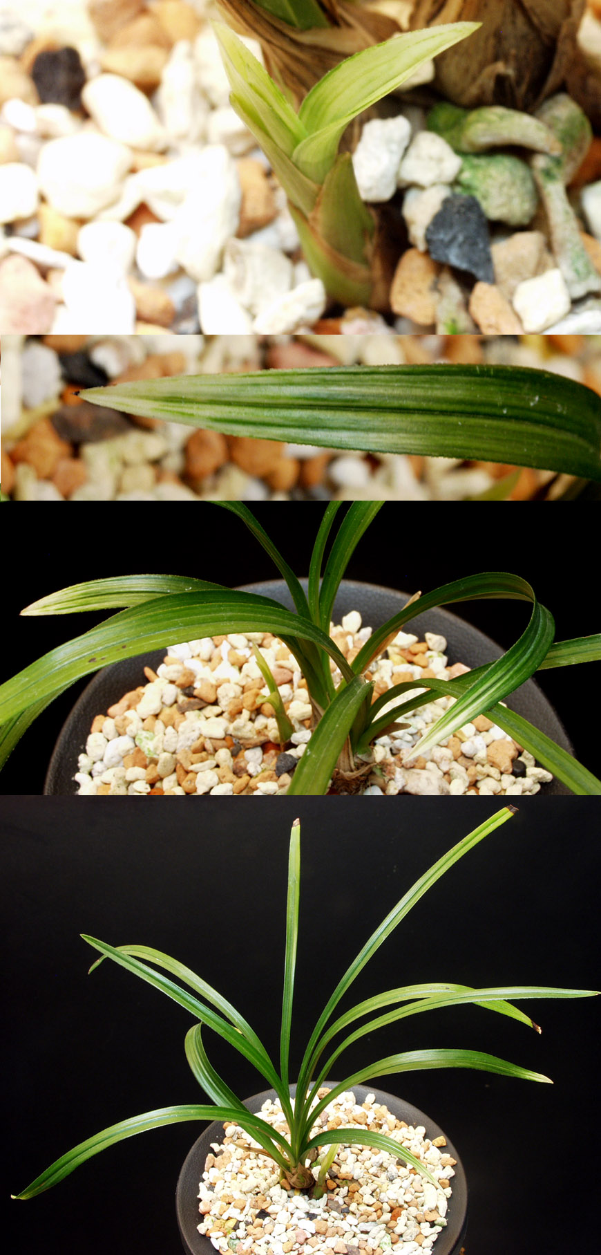 ������ ū������ �� �� �ֽ��ϴ�.