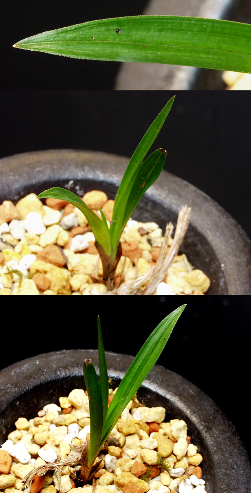 ������ ū������ �� �� �ֽ��ϴ�.