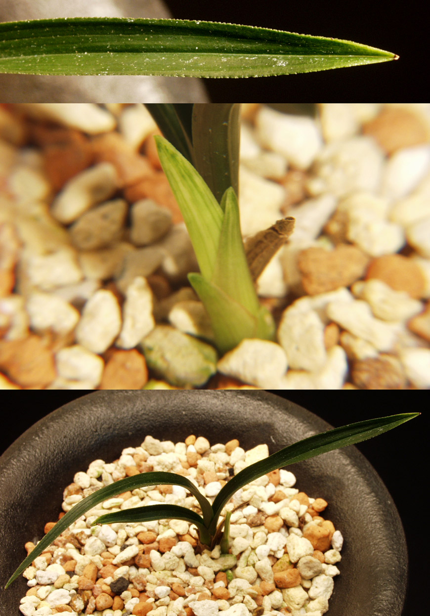 ������ ū������ �� �� �ֽ��ϴ�.