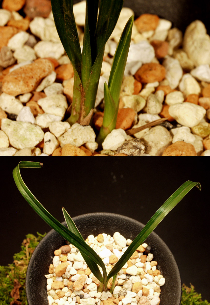 ������ ū������ �� �� �ֽ��ϴ�.