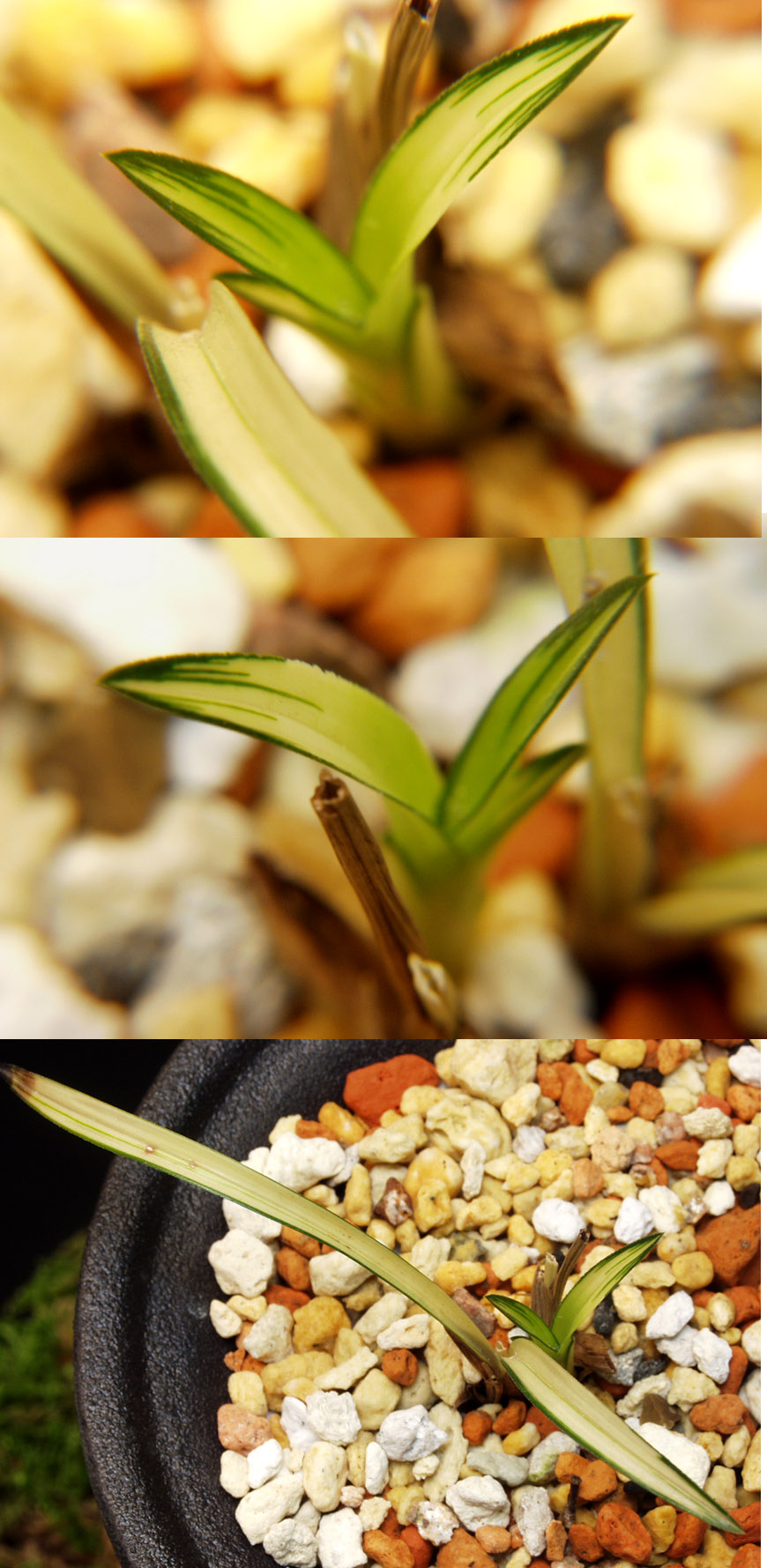 ������ ū������ �� �� �ֽ��ϴ�.