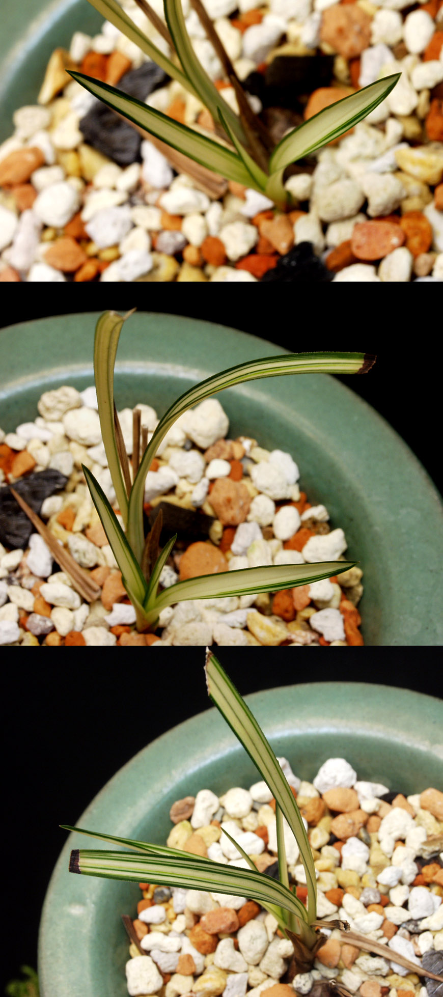 ������ ū������ �� �� �ֽ��ϴ�.