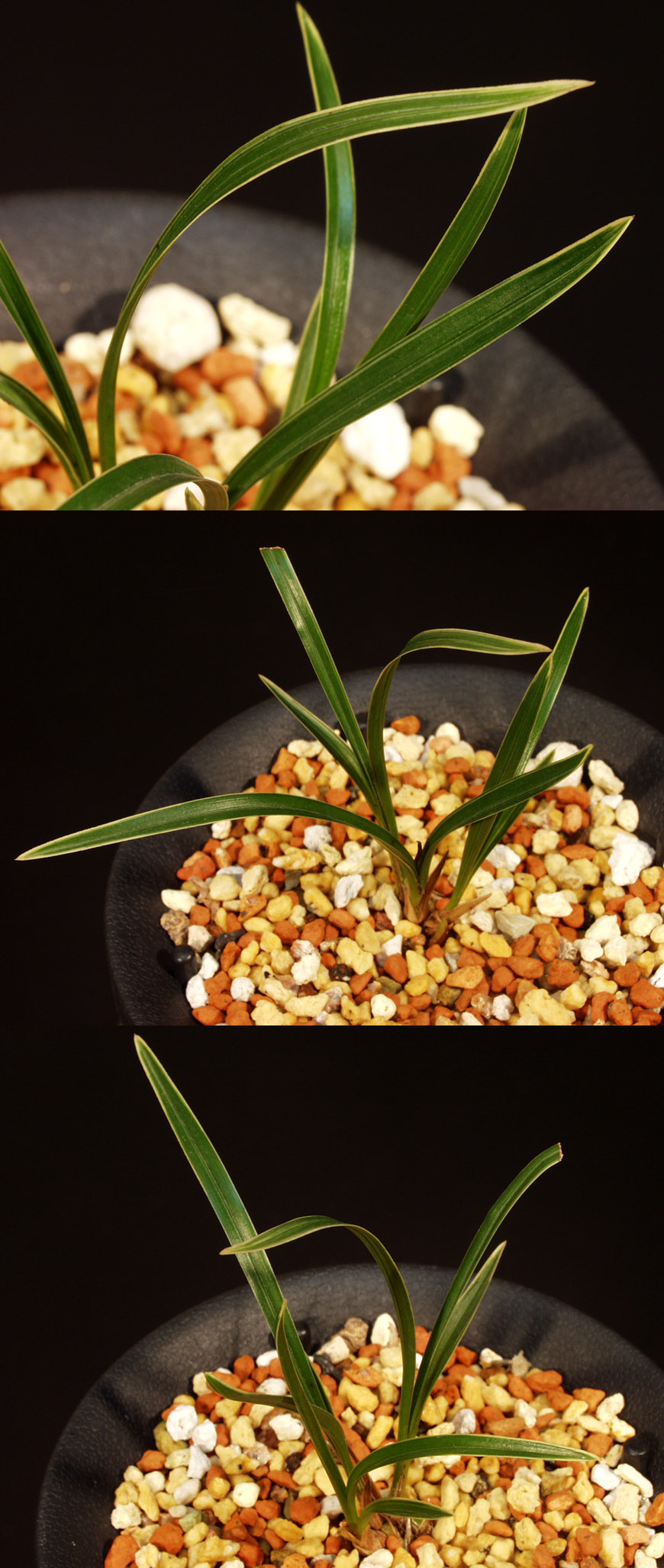 ������ ū������ �� �� �ֽ��ϴ�.