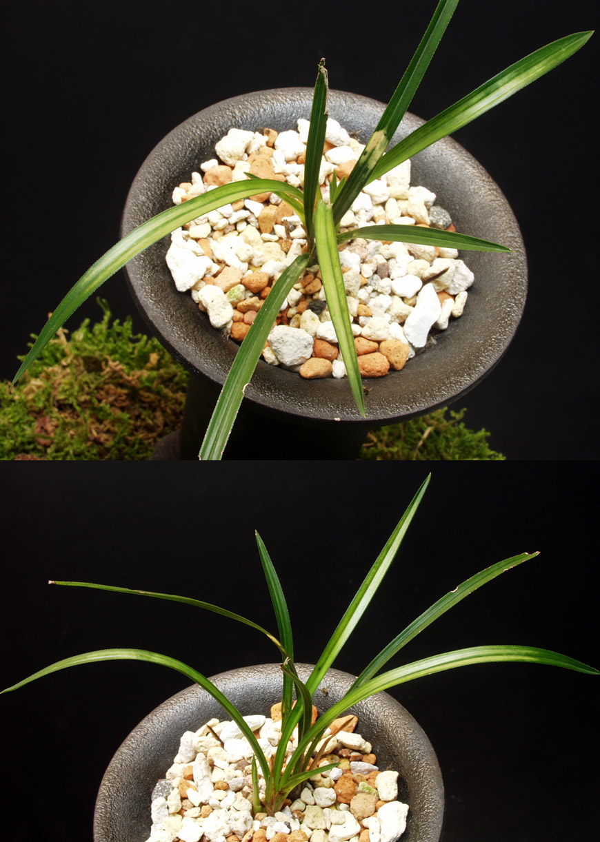 ������ ū������ �� �� �ֽ��ϴ�.