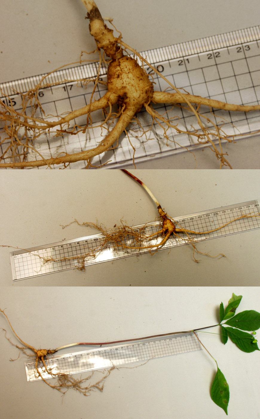 ������ ū������ �� �� �ֽ��ϴ�.