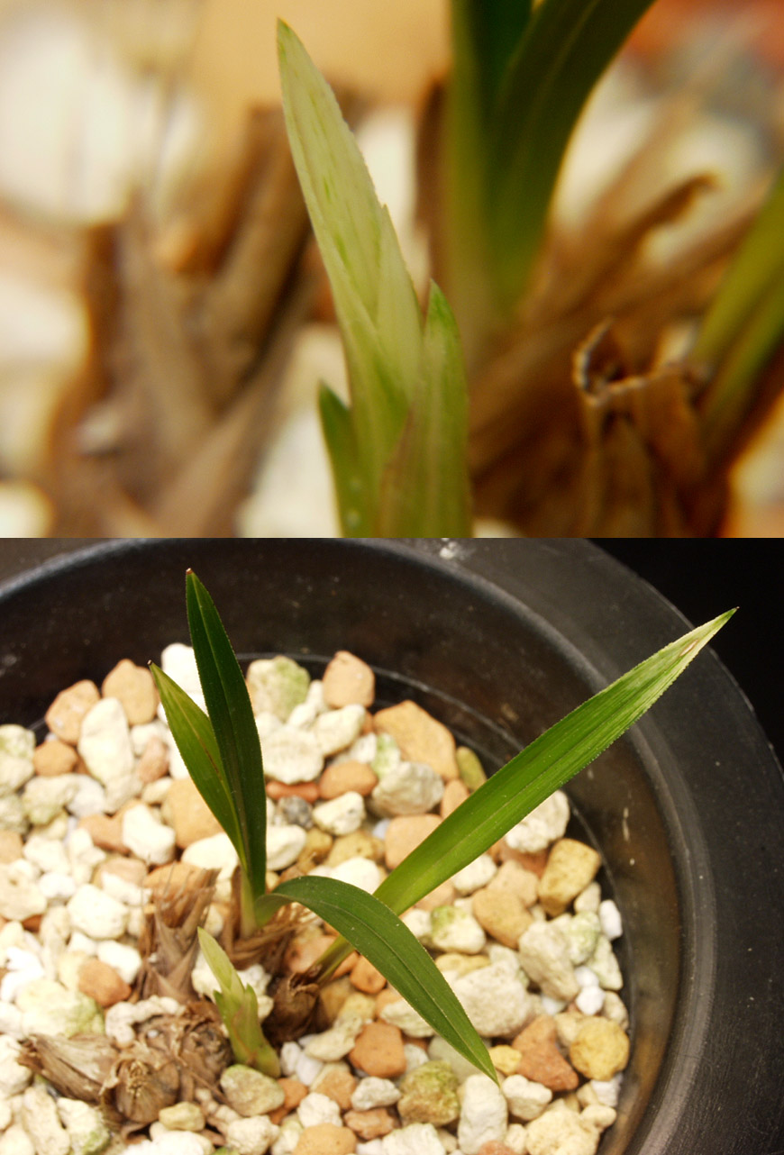 ������ ū������ �� �� �ֽ��ϴ�.