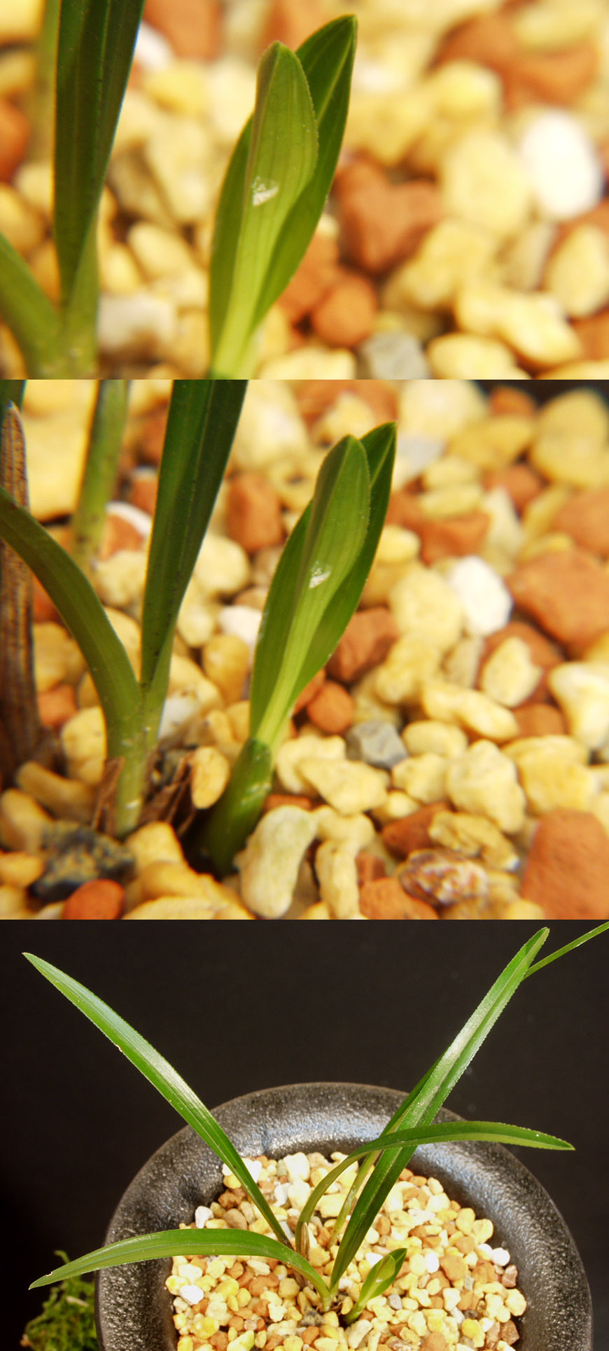 ������ ū������ �� �� �ֽ��ϴ�.