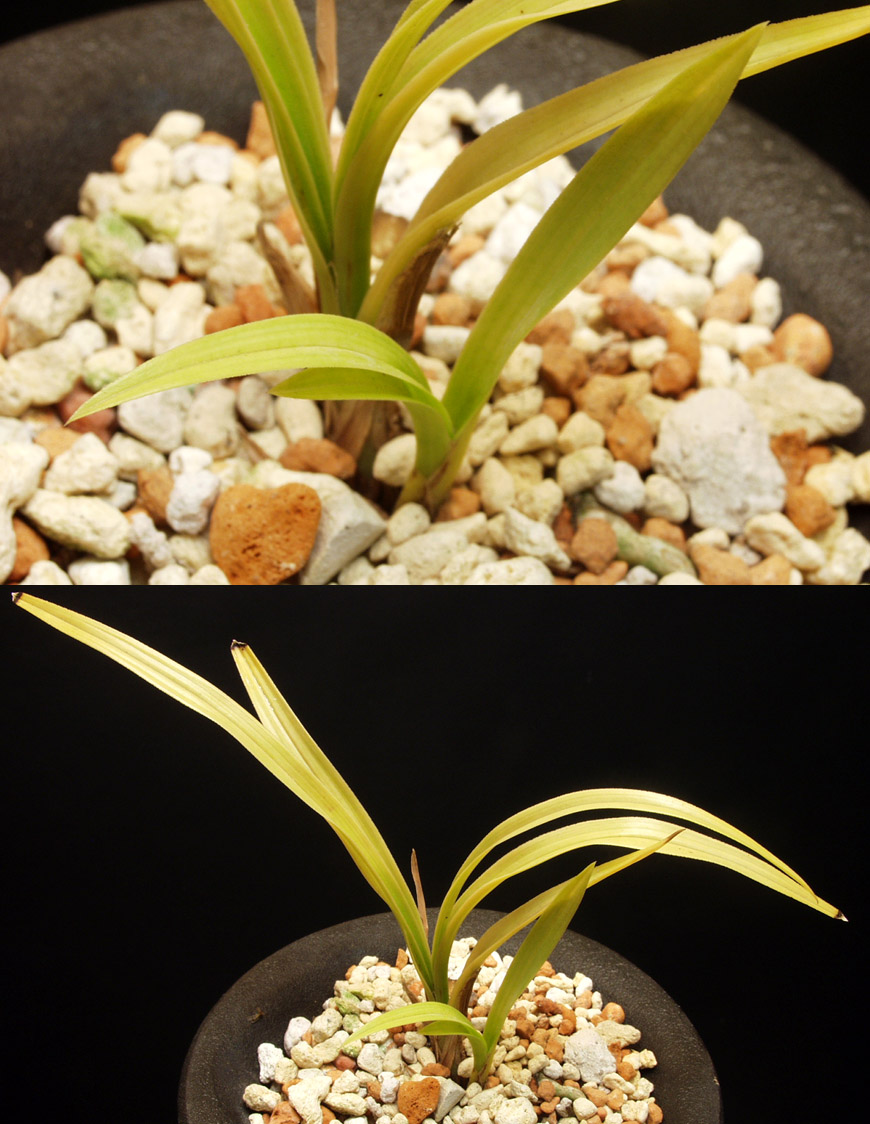 ������ ū������ �� �� �ֽ��ϴ�.