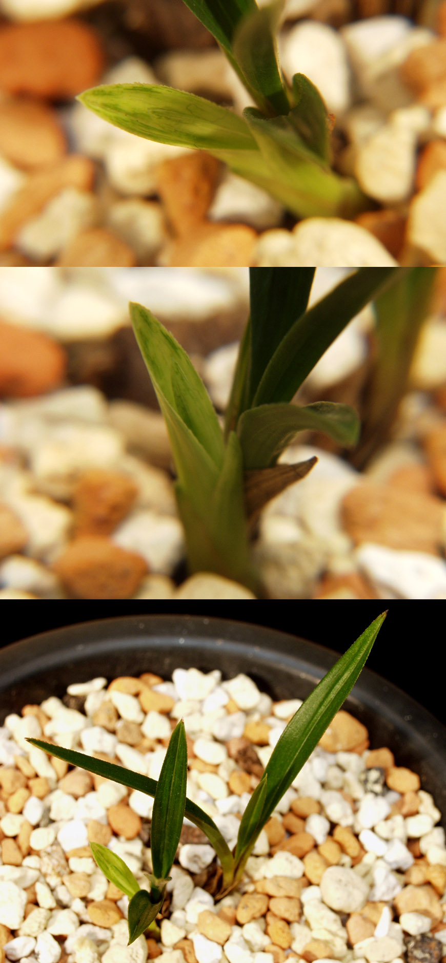 ������ ū������ �� �� �ֽ��ϴ�.