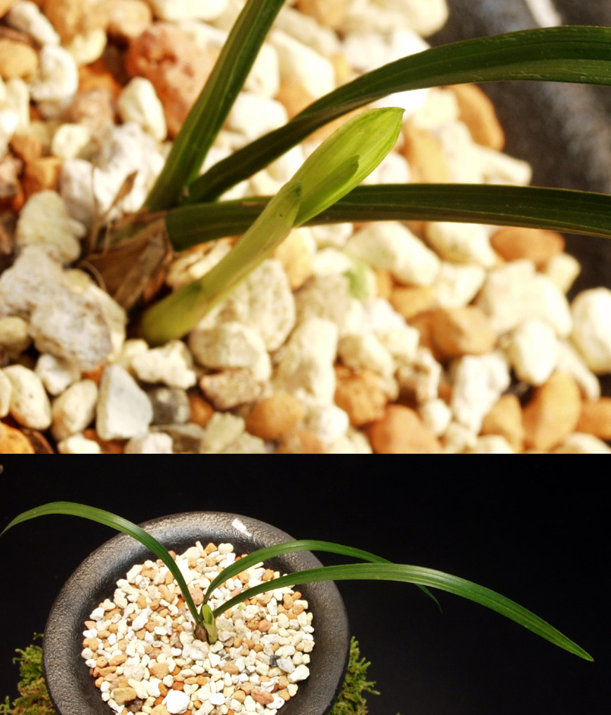 ������ ū������ �� �� �ֽ��ϴ�.