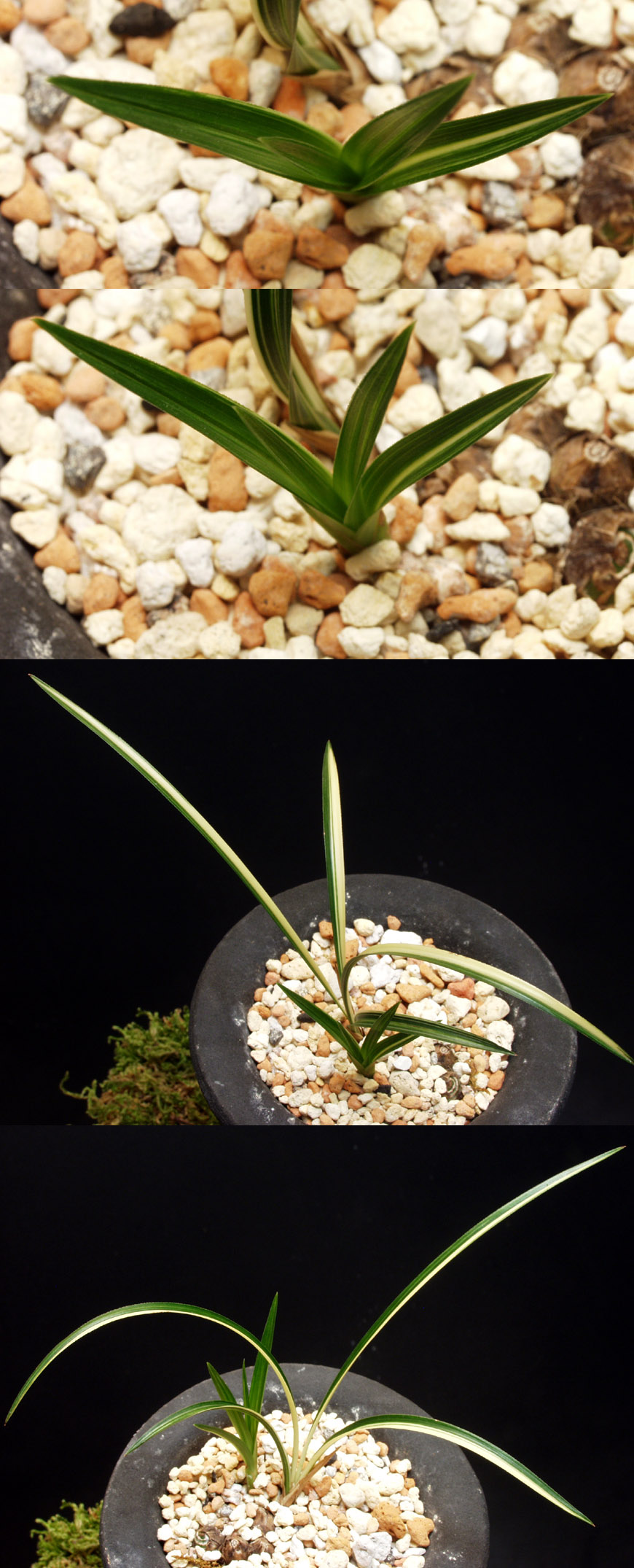 ������ ū������ �� �� �ֽ��ϴ�.