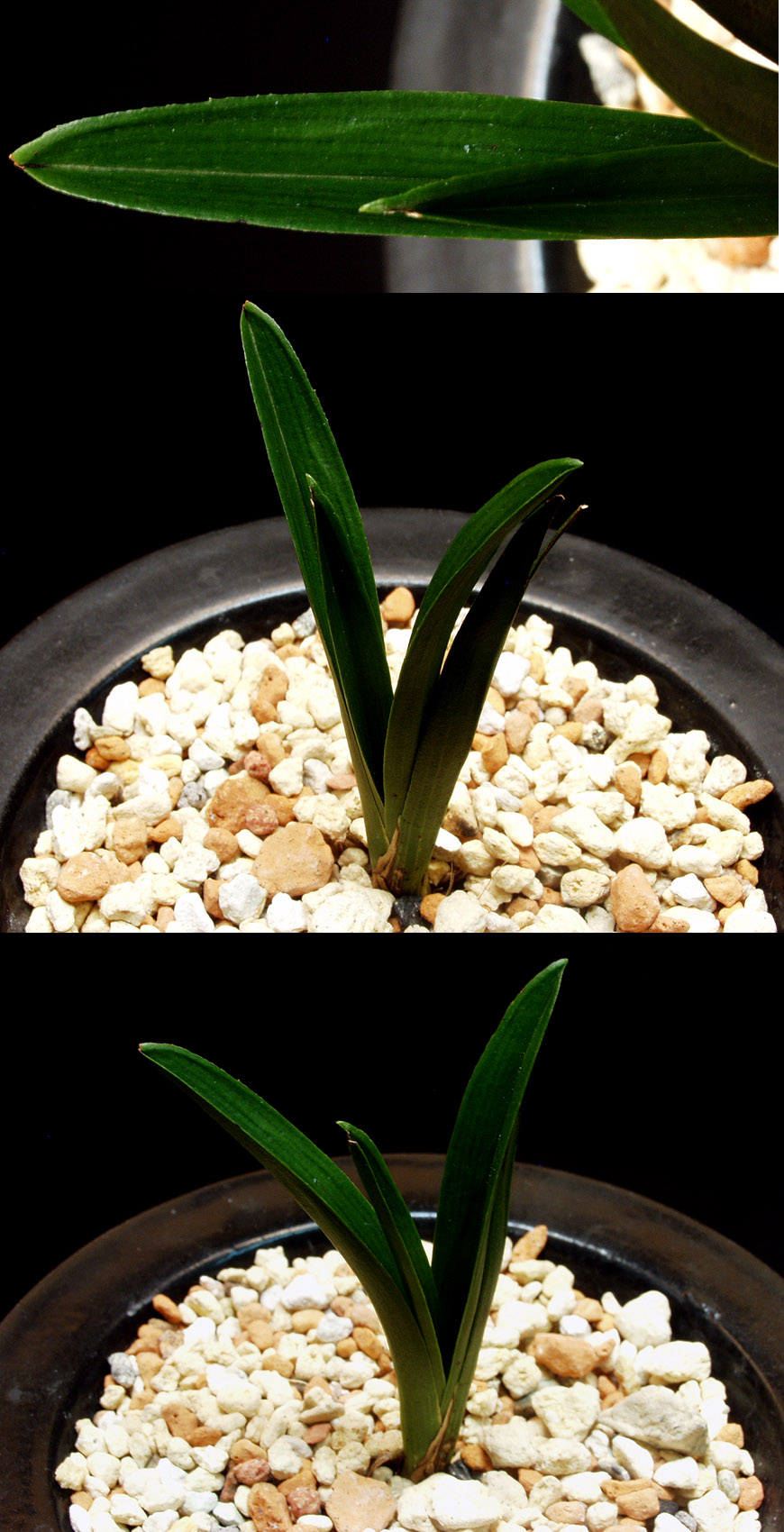 ������ ū������ �� �� �ֽ��ϴ�.