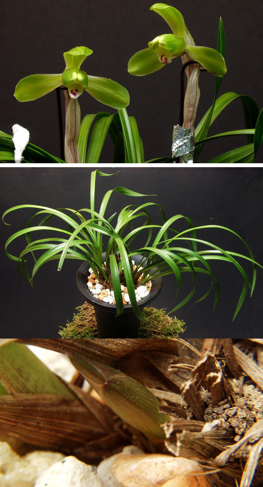 ������ ū������ �� �� �ֽ��ϴ�.