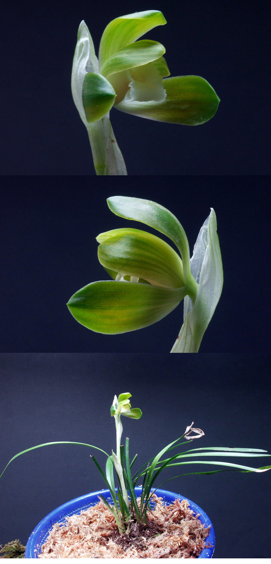 ������ ū������ �� �� �ֽ��ϴ�.