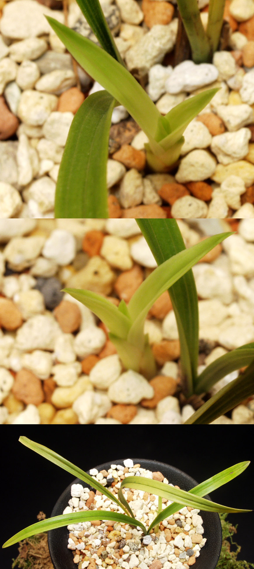 ������ ū������ �� �� �ֽ��ϴ�.