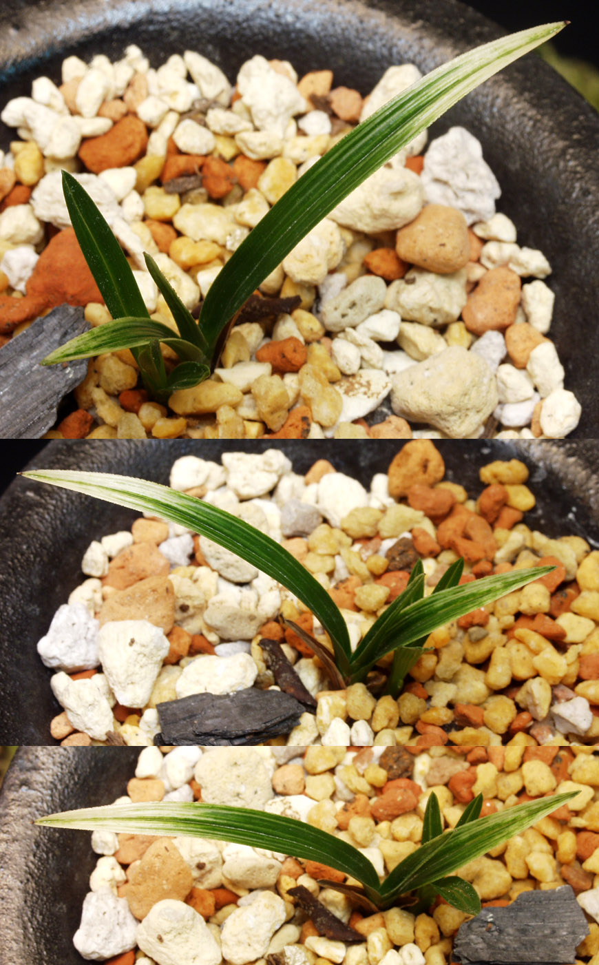 ������ ū������ �� �� �ֽ��ϴ�.