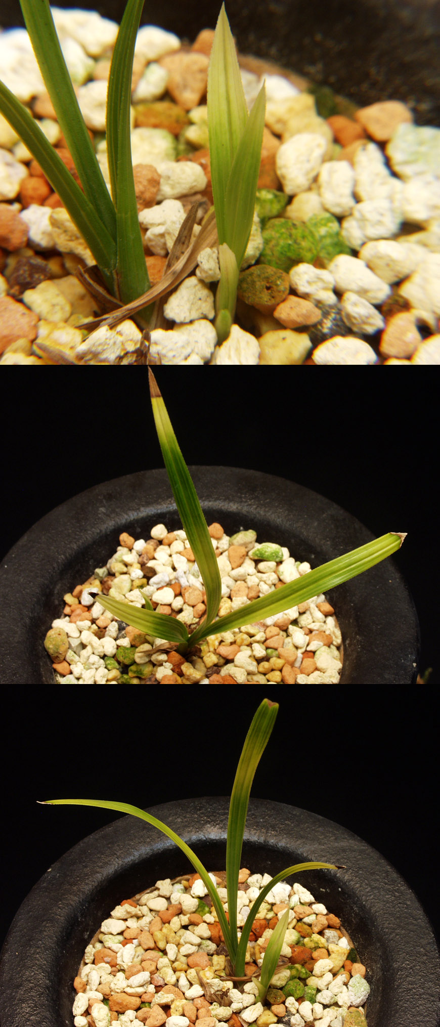 ������ ū������ �� �� �ֽ��ϴ�.